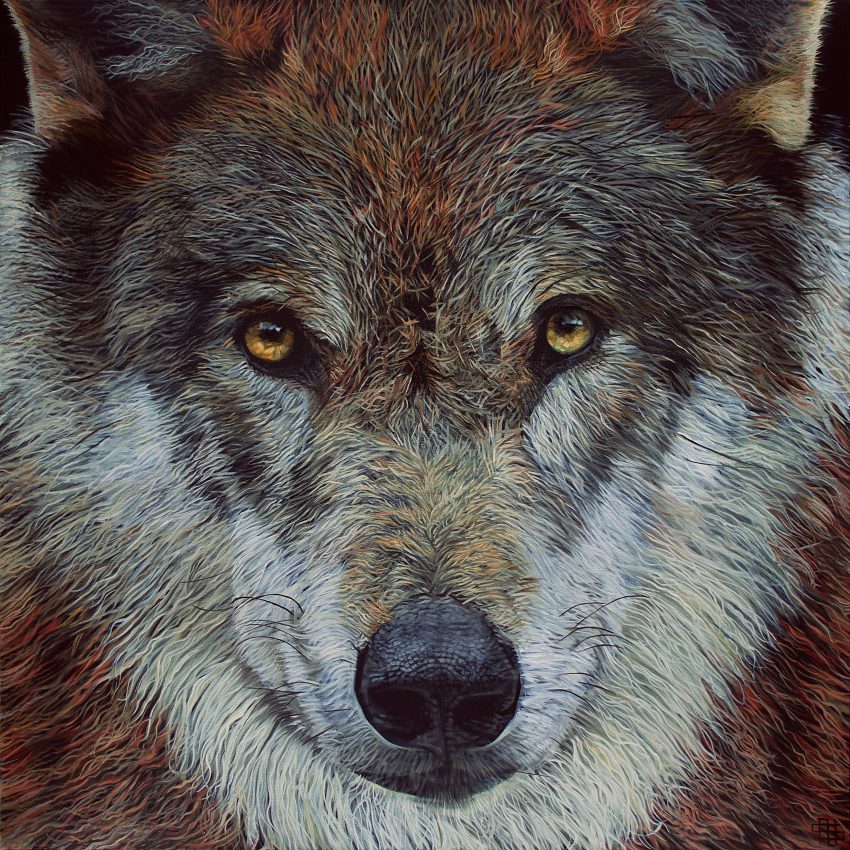 Red Wolf - Nayartist