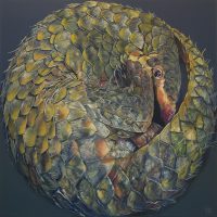Pangolin