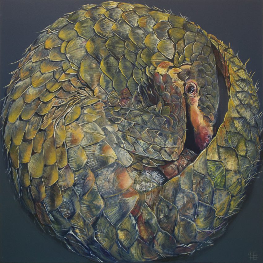 Pangolin