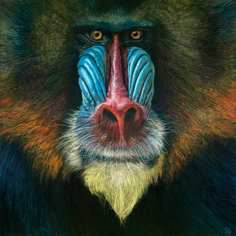 Mandrill